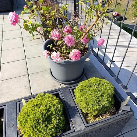 Gerastay Perucka شقة *